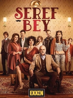 Уважаемый господин (сериал, 1-2 сезоны, все серии)